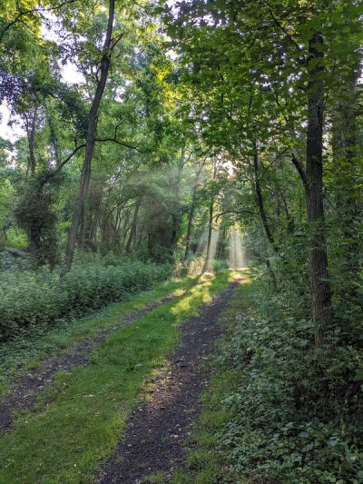 Parks & Recreation West Avenue Nature Trails in Bensalem, Bucks County