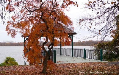 Museums & Cultural Centers Glen Foerd in Bensalem, Bucks County