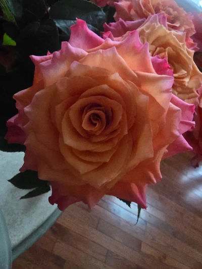 Art Galleries newtown, pa in Newtown Borough, Bucks County