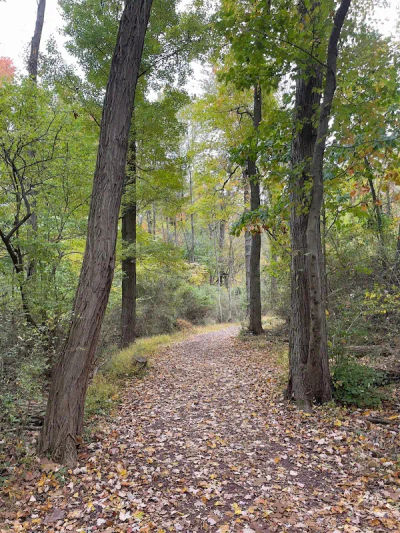 Parks & Recreation Spring Valley Park in Chalfont, Bucks County