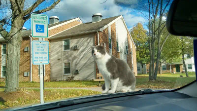 Parks & Recreation Parks & Recreation Department in Bensalem, Bucks County