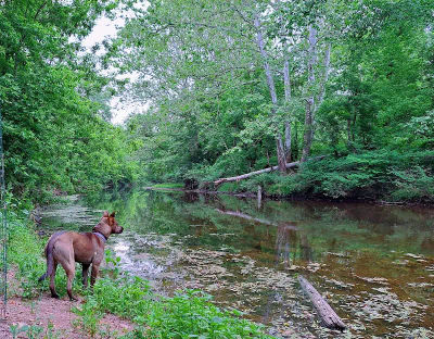 Parks & Recreation Wilma Quinlan Nature Preserve in New Britain Borough, Bucks County