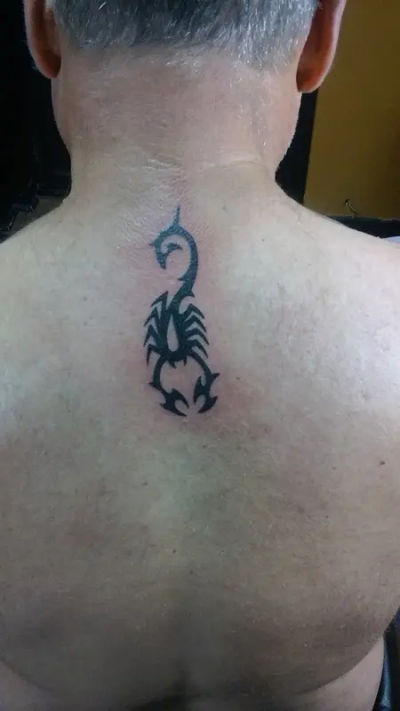 Art Galleries Gallery of Living Art in Chalfont, Bucks County