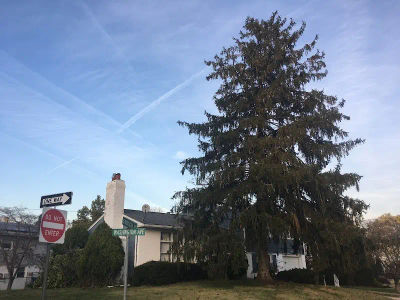 Parks & Recreation Dinoia Park in Bensalem, Bucks County