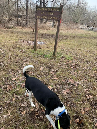 Parks & Recreation Tyler State Park Main Office and Classroom in Newtown Borough, Bucks County