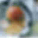 Wok In Burger Review: Chilli Crab Burger And Salted Egg Pork Burger By Keng Eng Kee