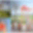 雲林|2022虎尾木棉花道火紅綻放啦！(免門票)145縣道木棉花廊|超浪漫~必拍木棉大花框! @滿分的旅遊札記