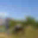 York Horse Riding Club