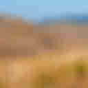 【山口】秋吉台(長者ヶ森コース) ハイキング 〜 カルスト台地のピークを巡る、草紅葉と石灰岩の旅