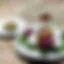 Eat and Cook