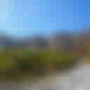 Mt. Daisen