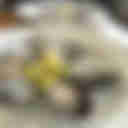 【広島・牡蠣】ファームスズキ ベイサイドキッチン　〜大崎上島の塩田跡地で出来た特別な牡蠣!