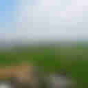 Zhenghan Trail