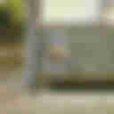 Japan Travel: Tales from the Shikoku Pilgrimage | Tokyo Weekender