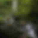 Nanan Falls