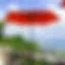 【沖縄・南城市・フレンチ】フランス食堂1663　〜絶景！高台から海を一望出来るフレンチ