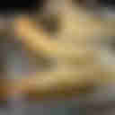 天ぷらさいとう 白山店