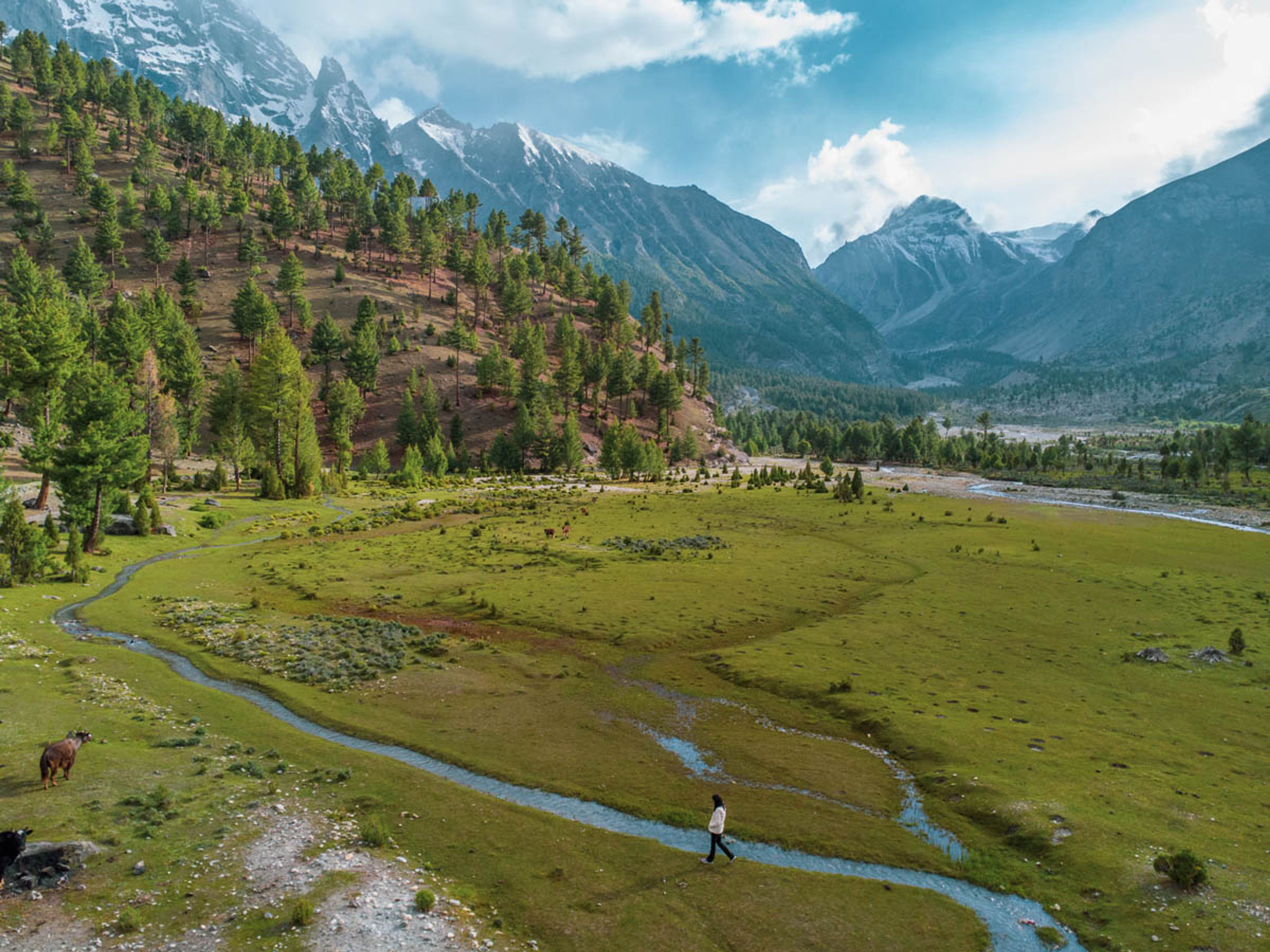 Basho Meadows Skardu