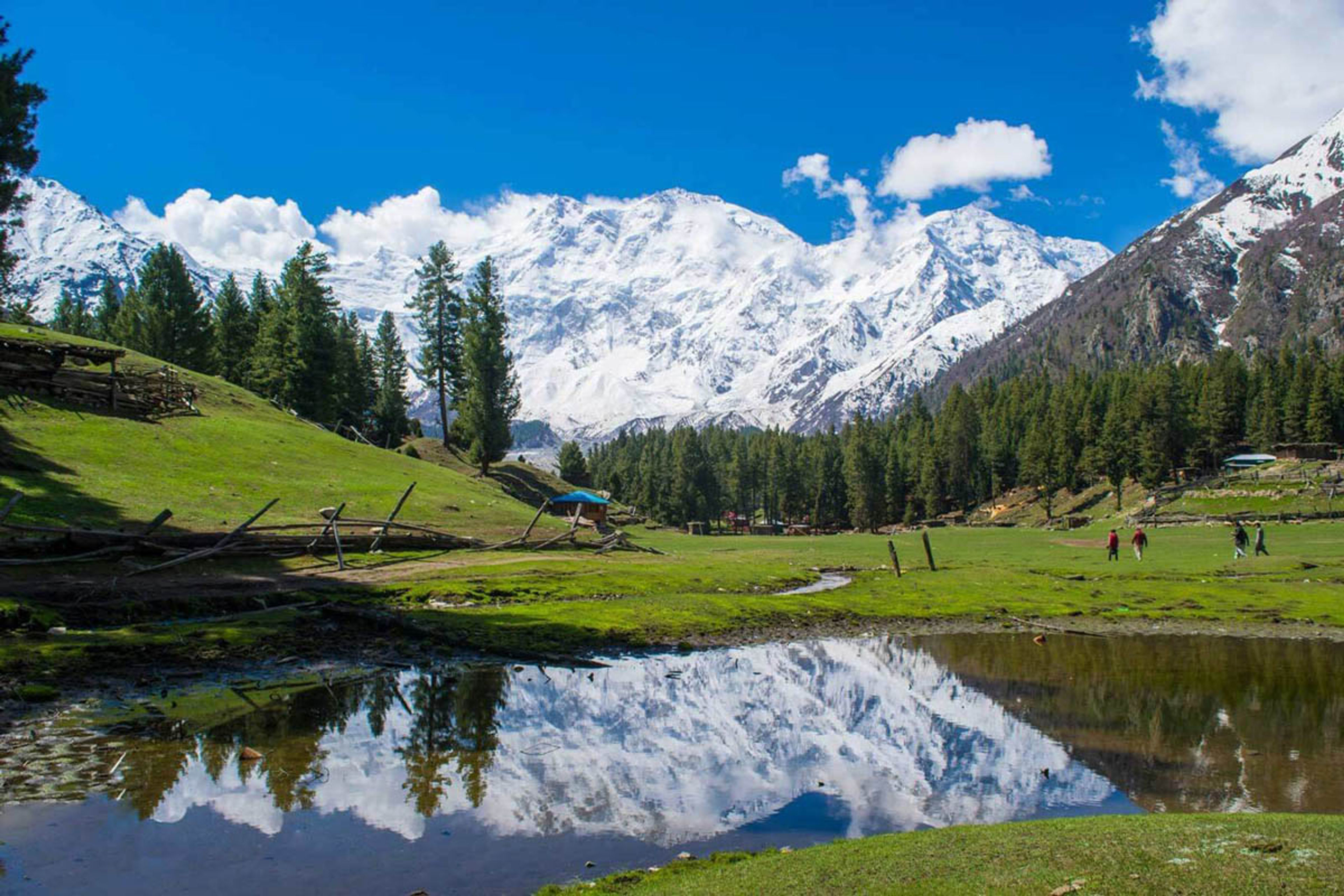 Fairy Meadows