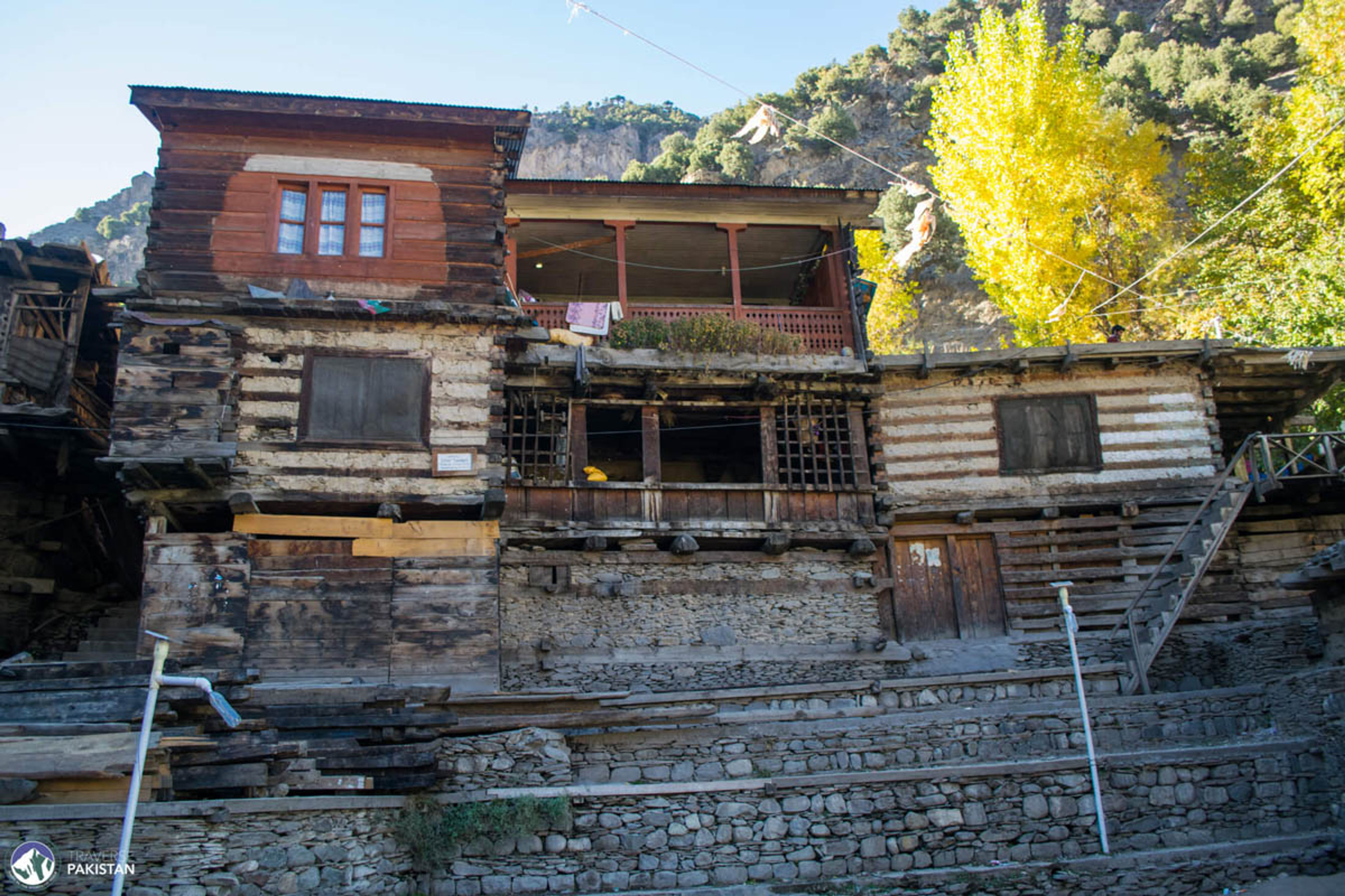 Karakal