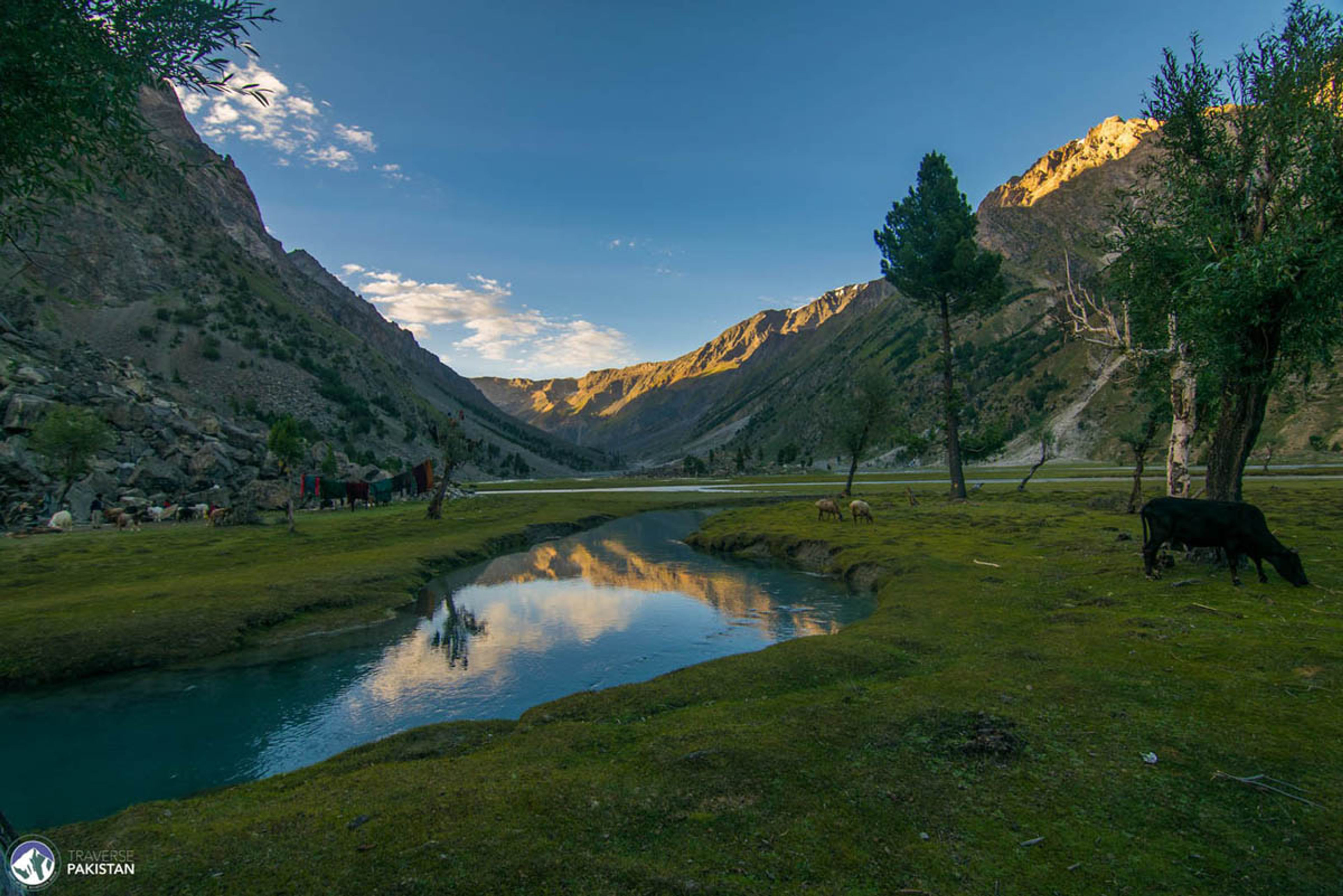 Naltar
