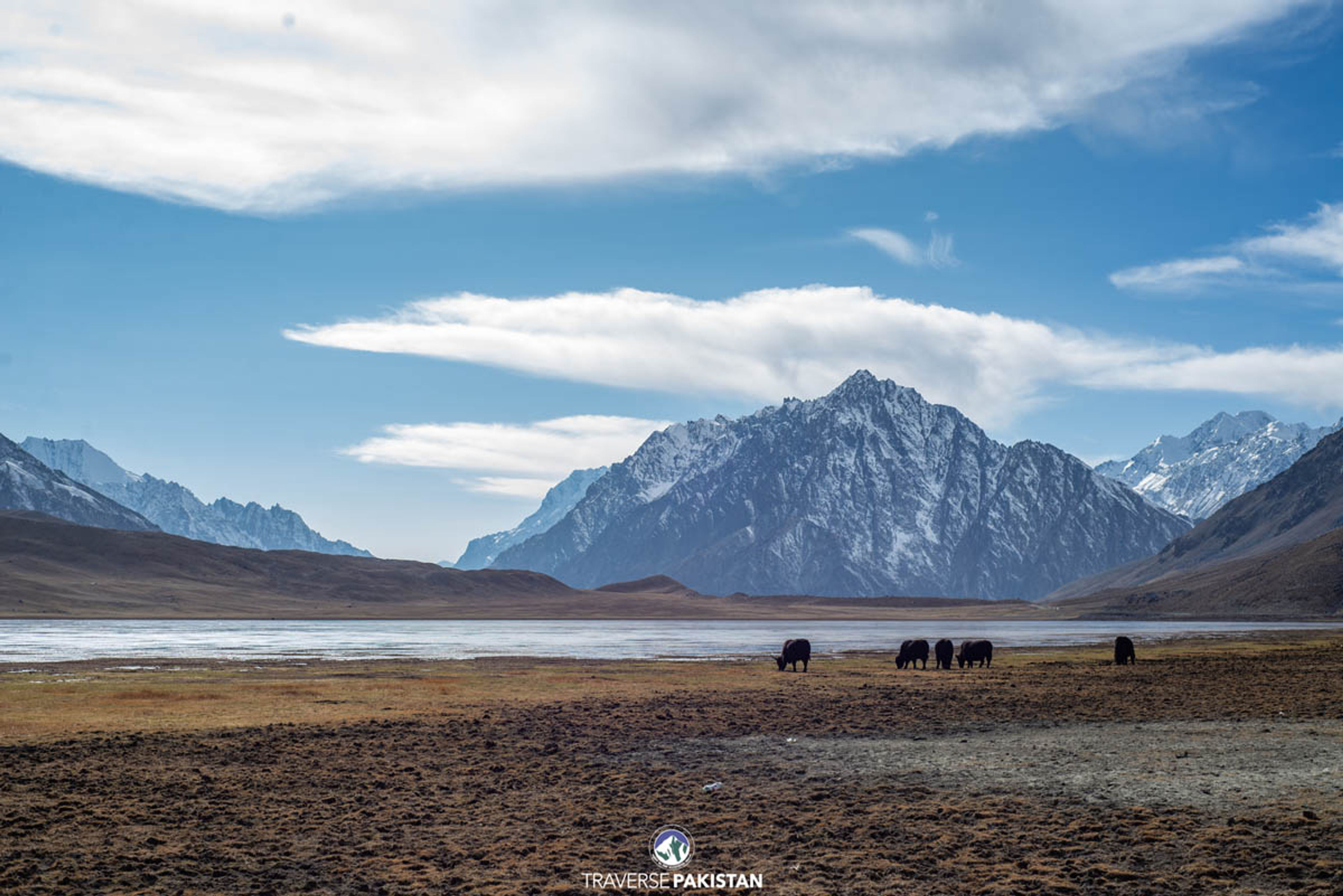 Shandur