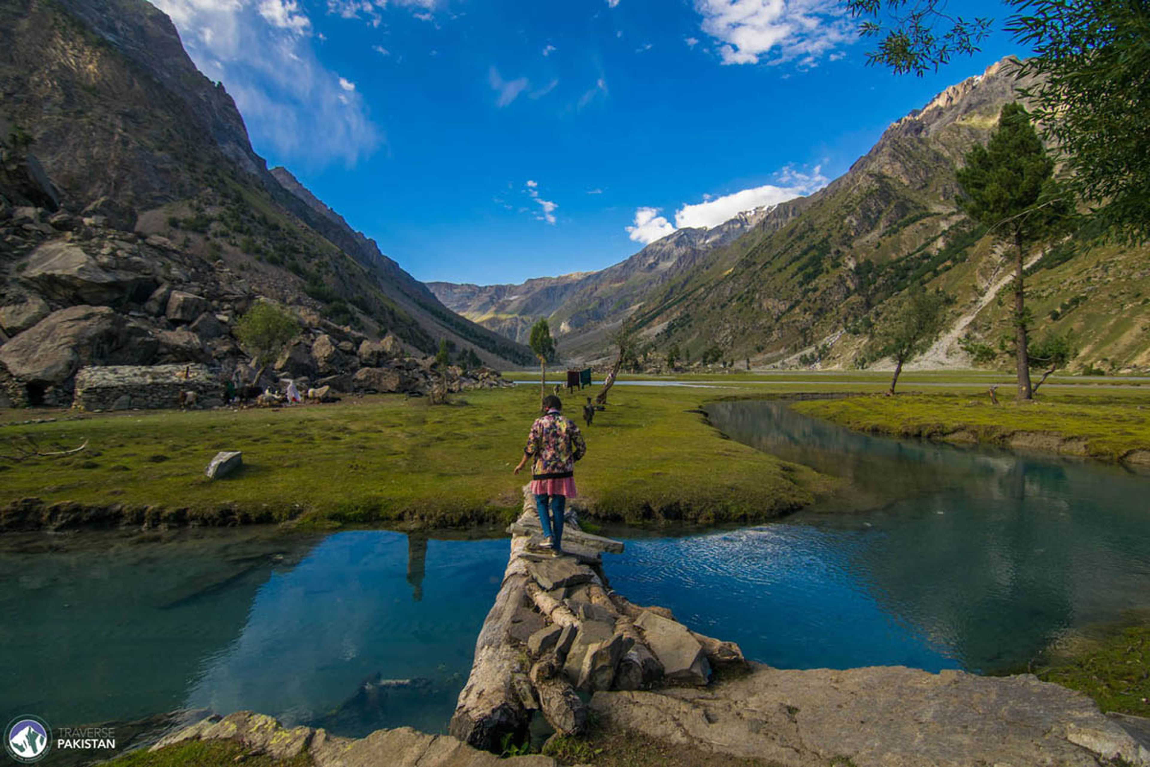 Shingu Meadows
