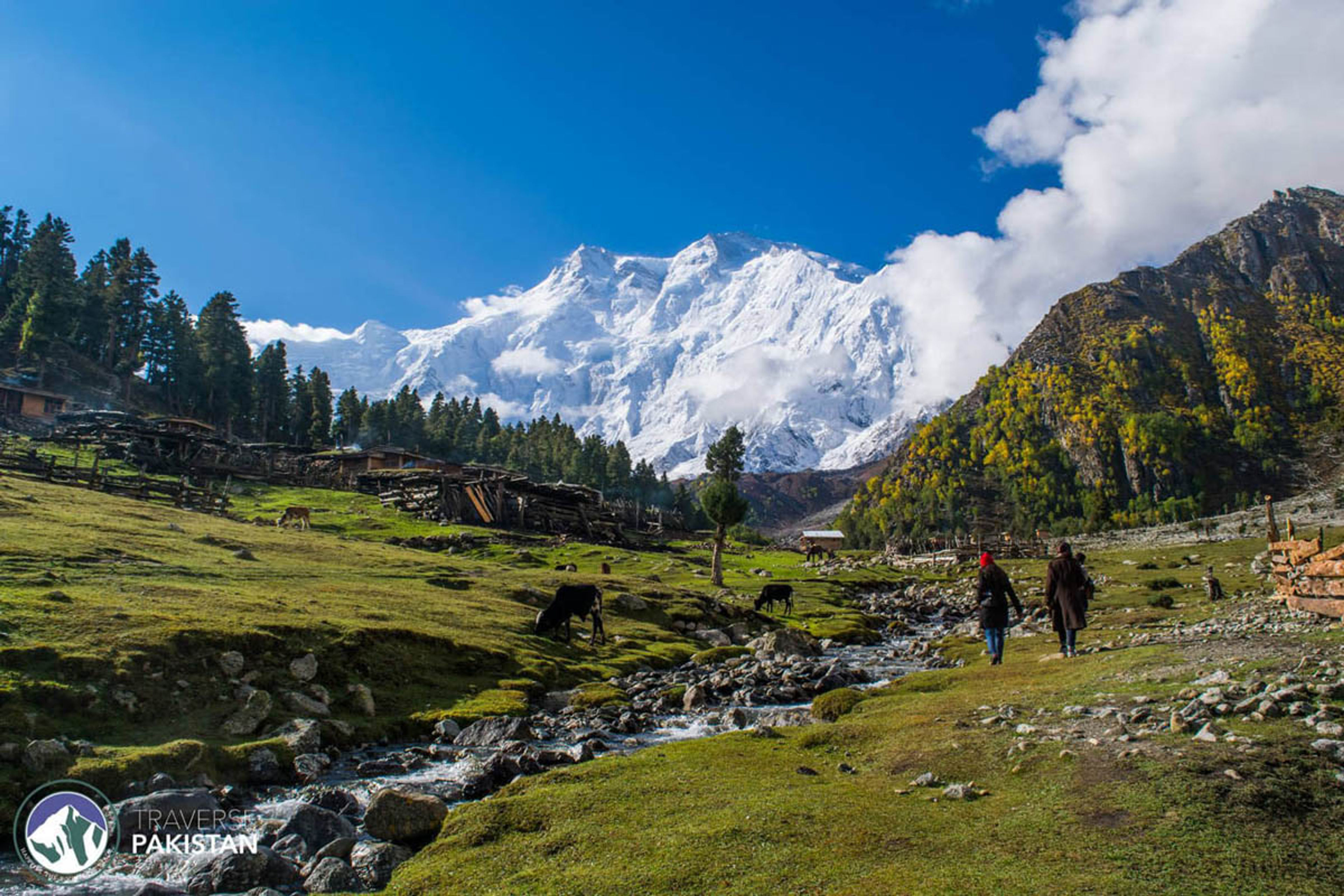 Fairy Meadows & Nanga Parbat — 5 Days via KKH