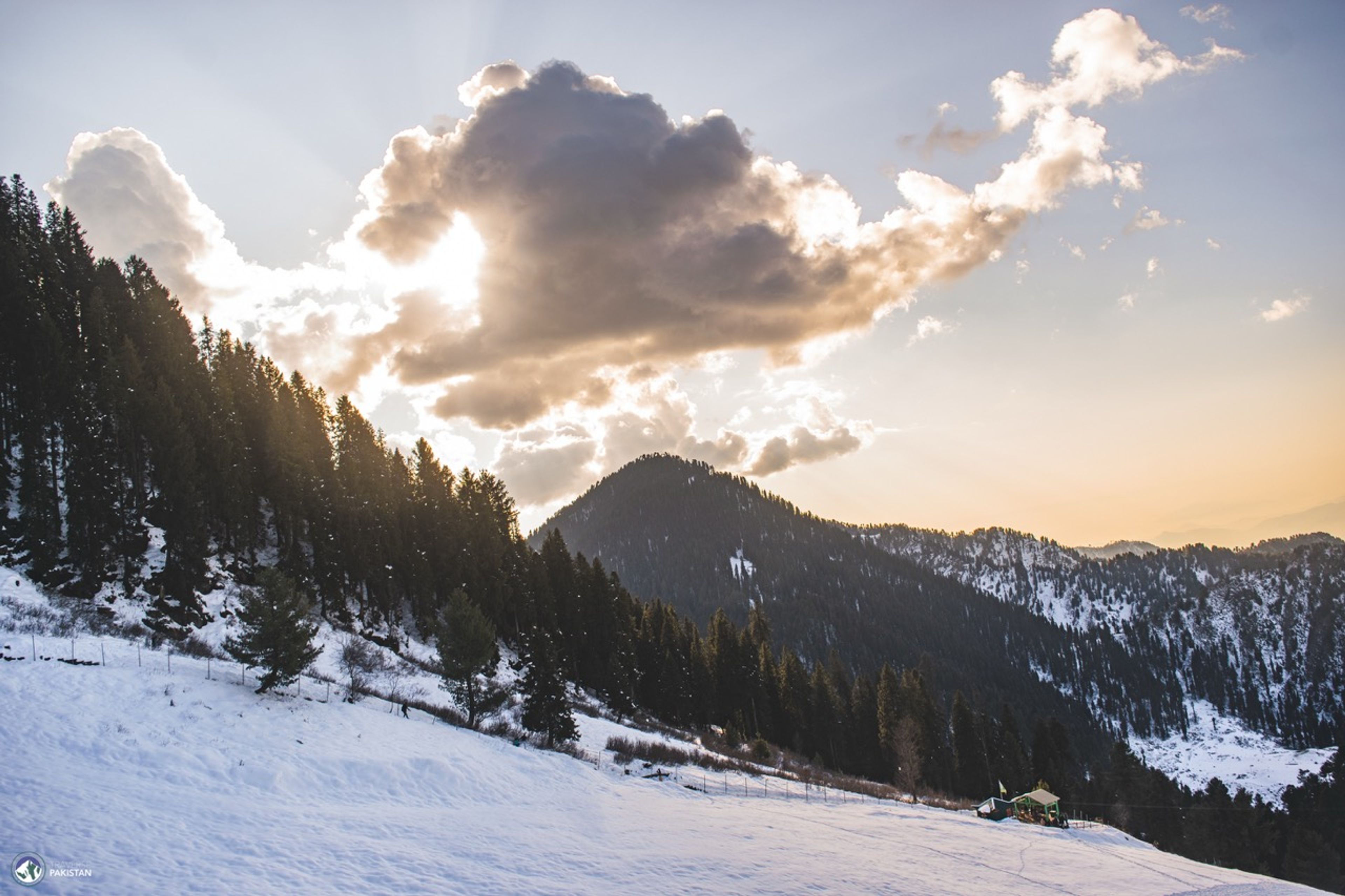 Malam Jabba — 3 Days Winter Escape