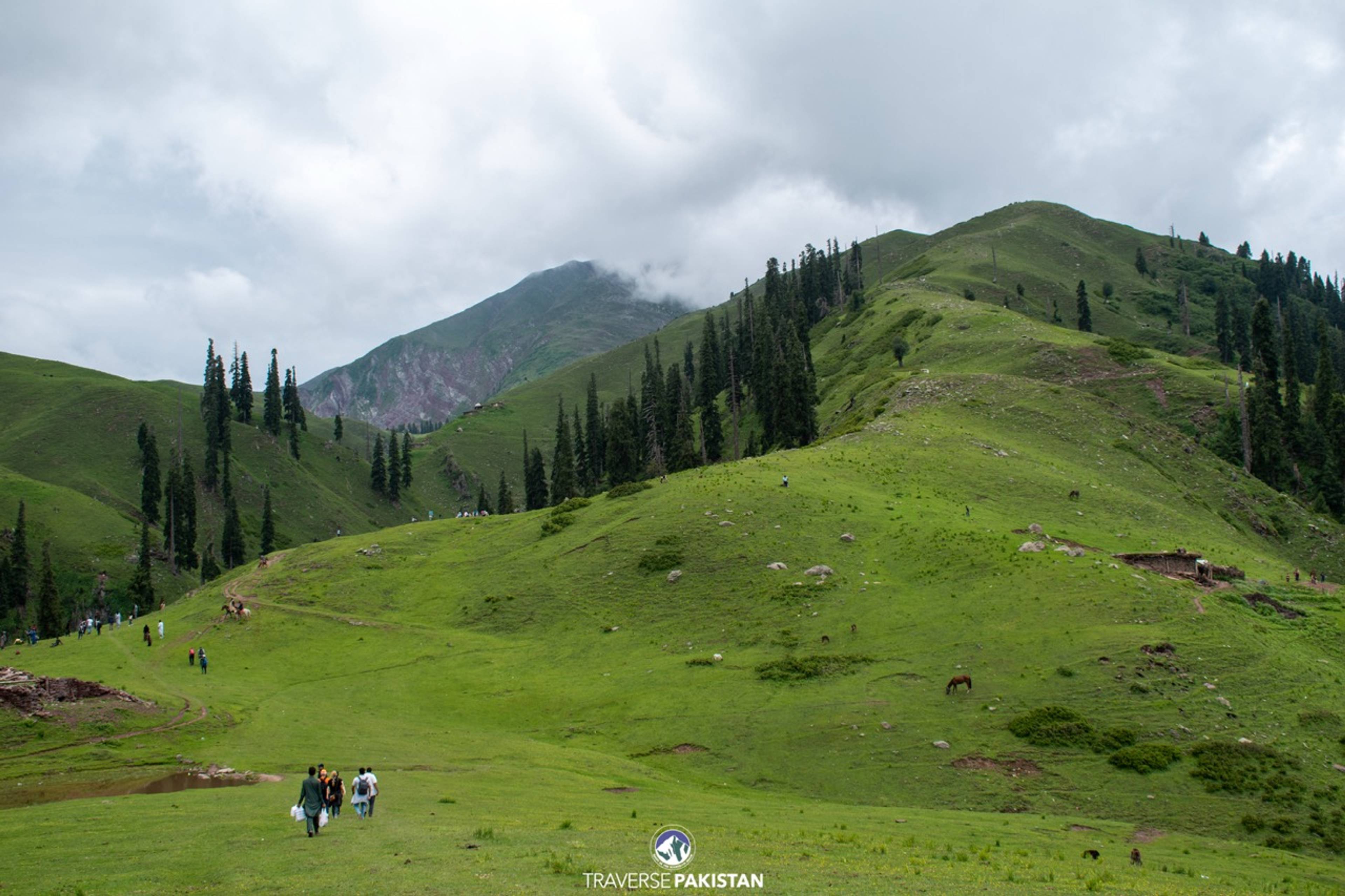 Naran, Sharan & Shogran — 6 Days — Kaghan travel package | Traverse Pakistan