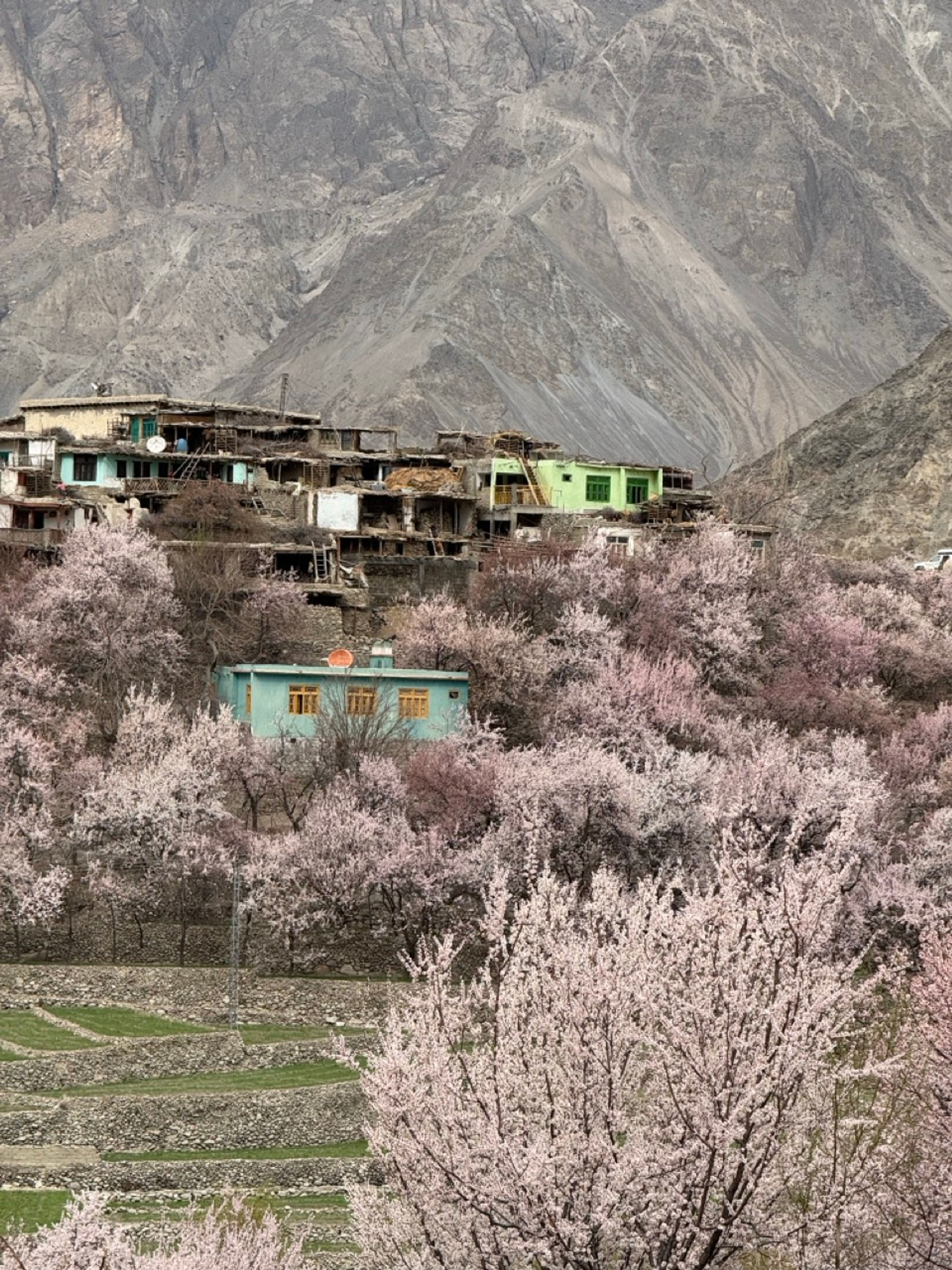 Spring in Skardu & Khaplu