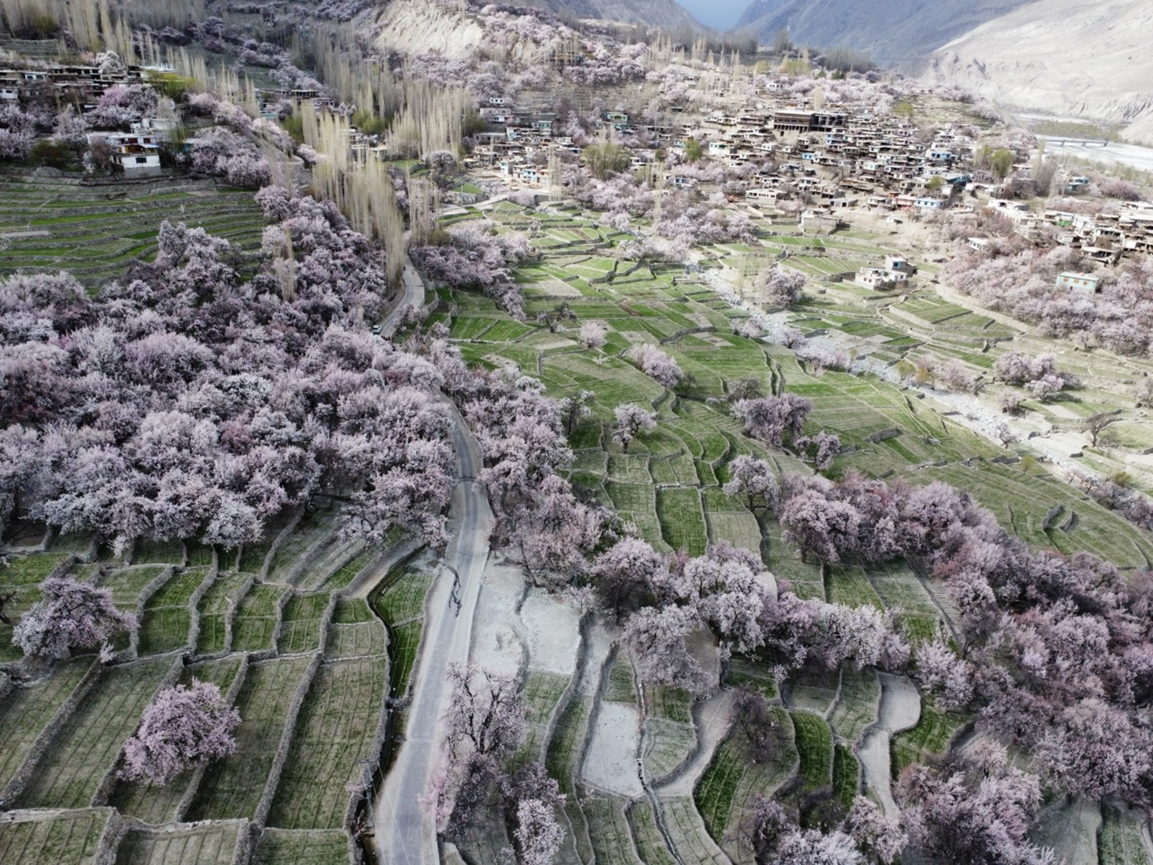 Spring in Skardu & Khaplu — Skardu travel package | Traverse Pakistan