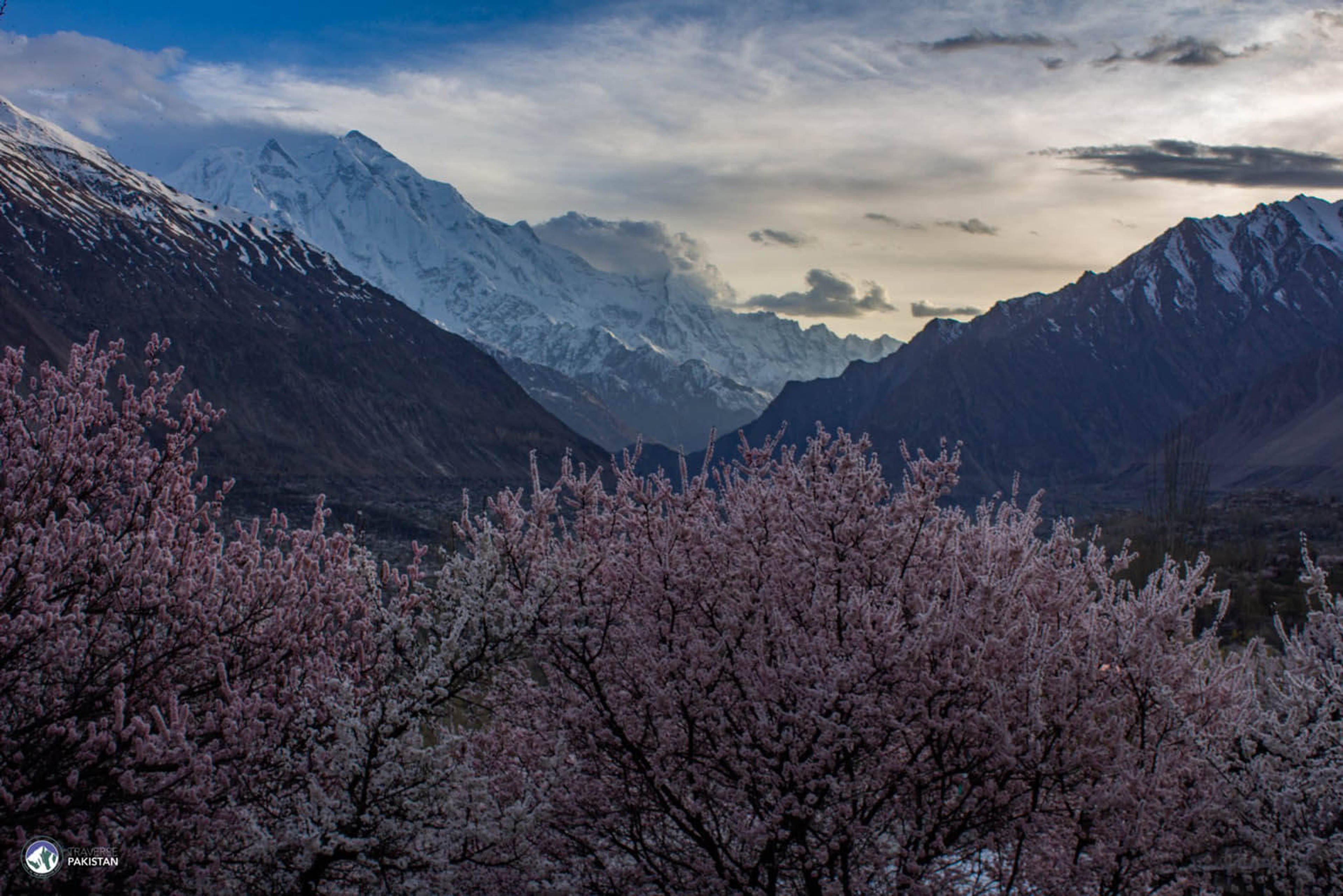 Spring in Hunza & Skardu — Hunza travel package | Traverse Pakistan