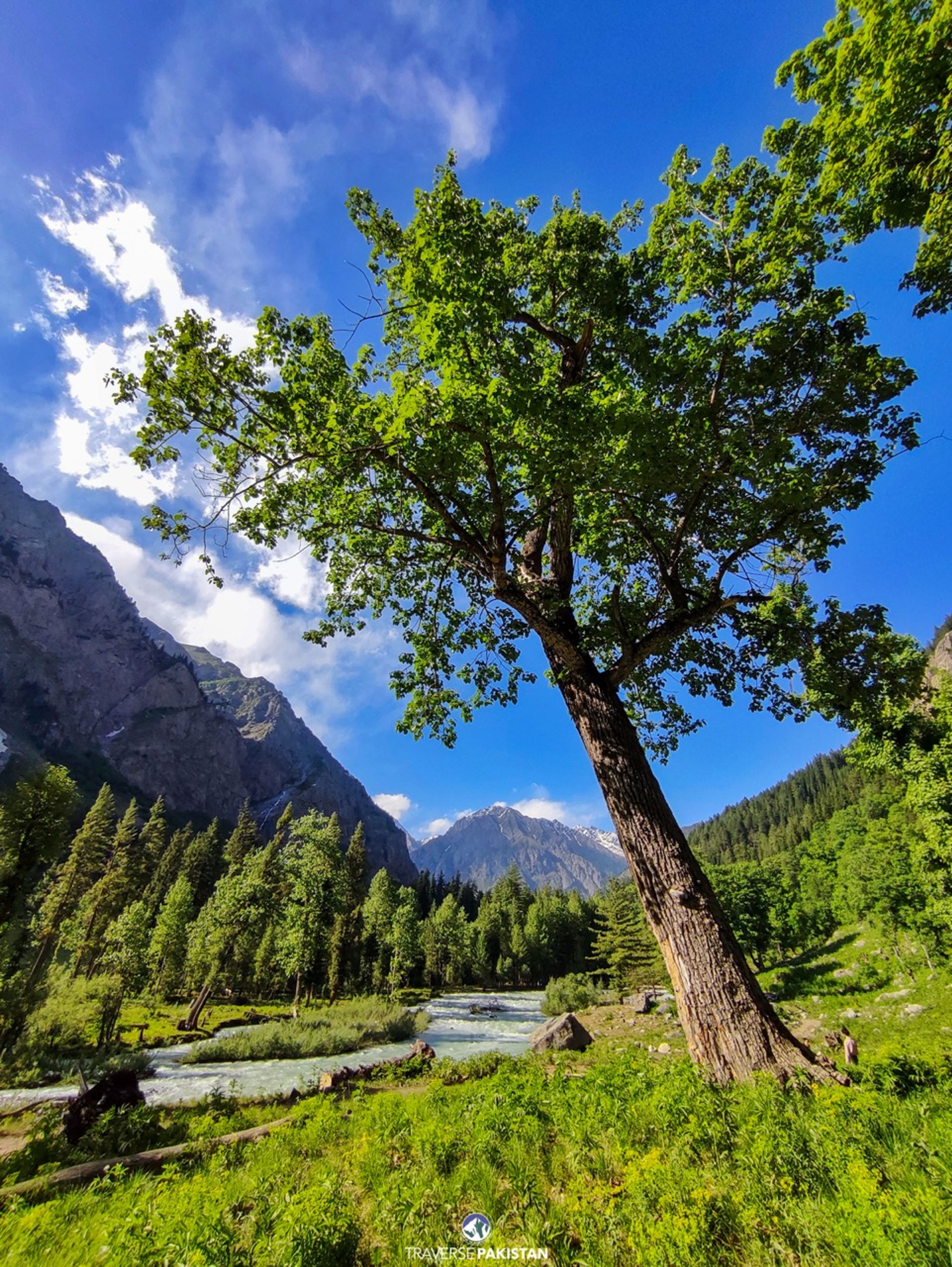 Luxury Trip to Kumrat — Kumrat group tour | Traverse Pakistan