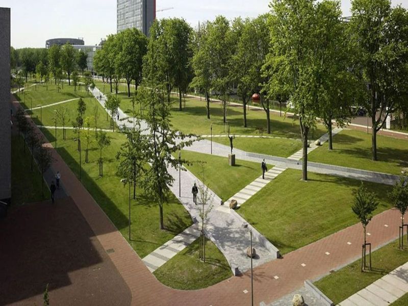 Noble Magnolia project view 8