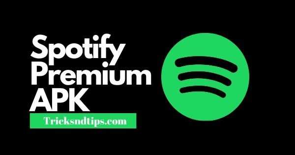 Spotify++ apk google drive windows 10