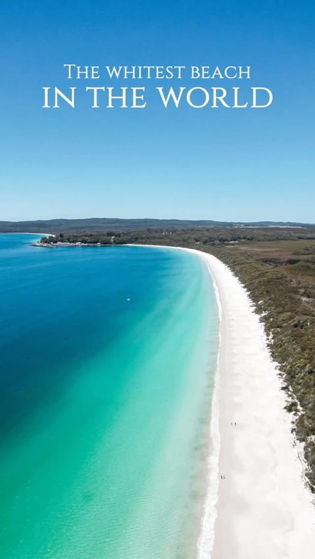 Jervis Bay reel by @falguni_gami