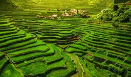 Breathtaking Banaue - From 2 up to 6 people