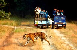 Corbett Tour