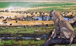 Manyara and Ngorongoro Crater