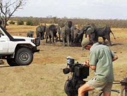 Kruger Park Explorer