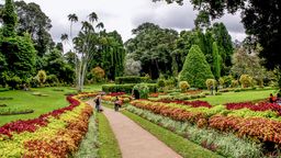 Cultural Tour from Mount Lavinia