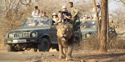 Kutch Tour with Sasan Gir