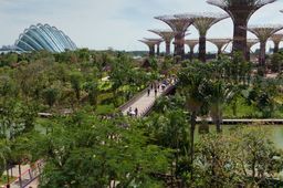 Majestic Singapore Tour