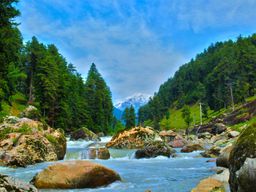 MANALI - JISPA - LEH - NUBRA - PANGONG