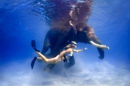 Honeymoon Dreams - The Magical Andaman