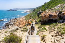 Classical Garden Route