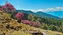 Delhi - Bhimtal - Mukteshwar - Binsar - Corbett - Delhi