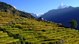 Annapurna Base Camp trek 14 days