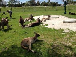 Romantic Australia